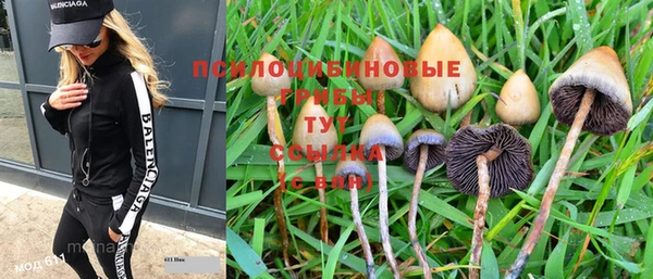 героин Богданович