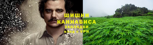 PSILOCYBIN Богородск