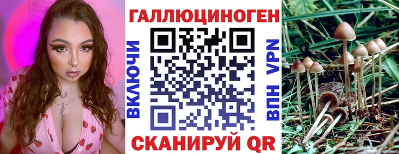 Купить где  Георгиевск  Галлюциногенные грибы Psilocybine cubensis 